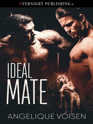 cover image of Ideal Mate
